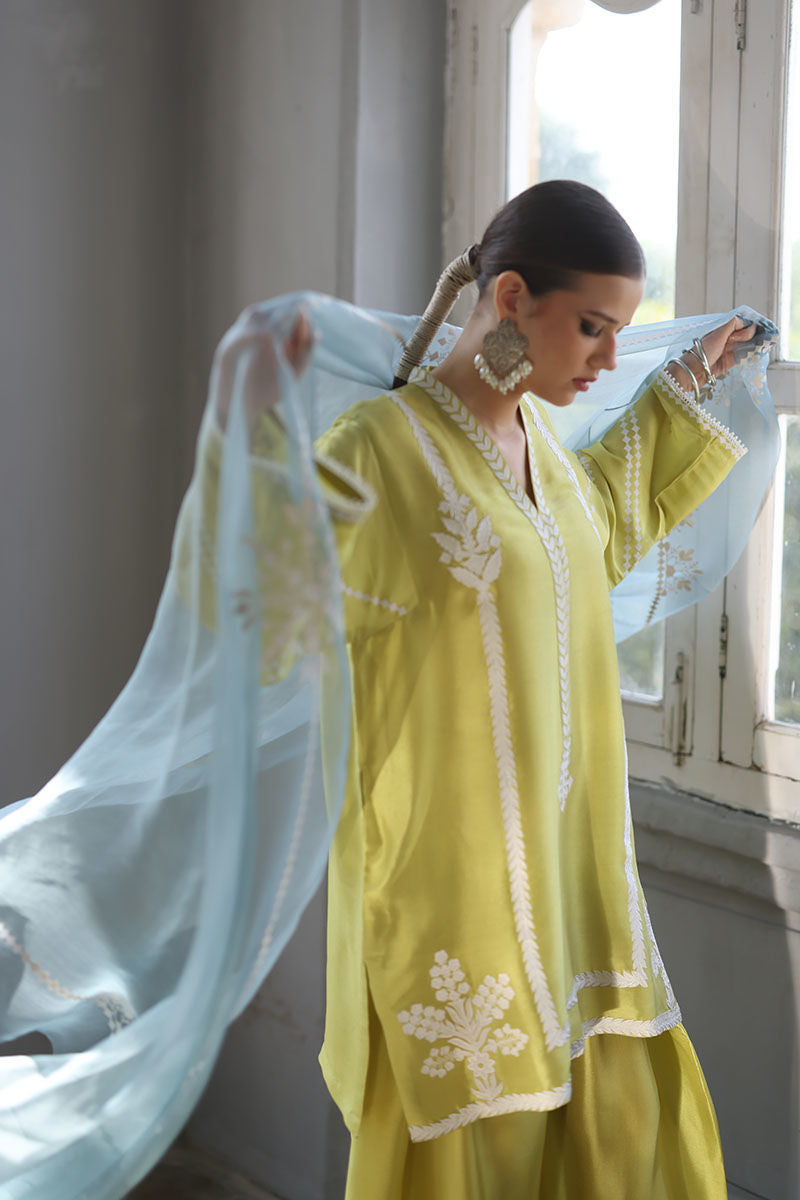Forest green Yellow one- lime light